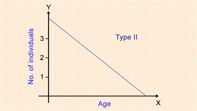 <p>type II survivorship curve</p>