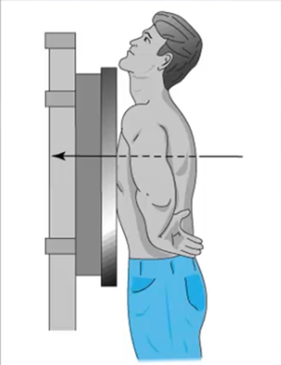 <p>Posteroanterior; entering posterior, exiting anterior</p>