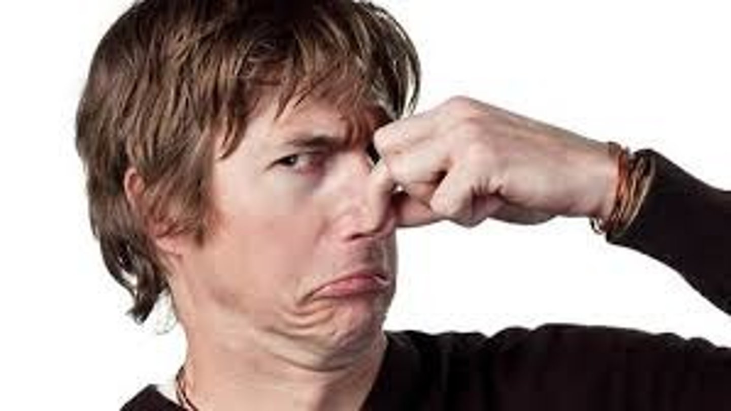 <p>warning of seizure - vision change, odor, sound</p>