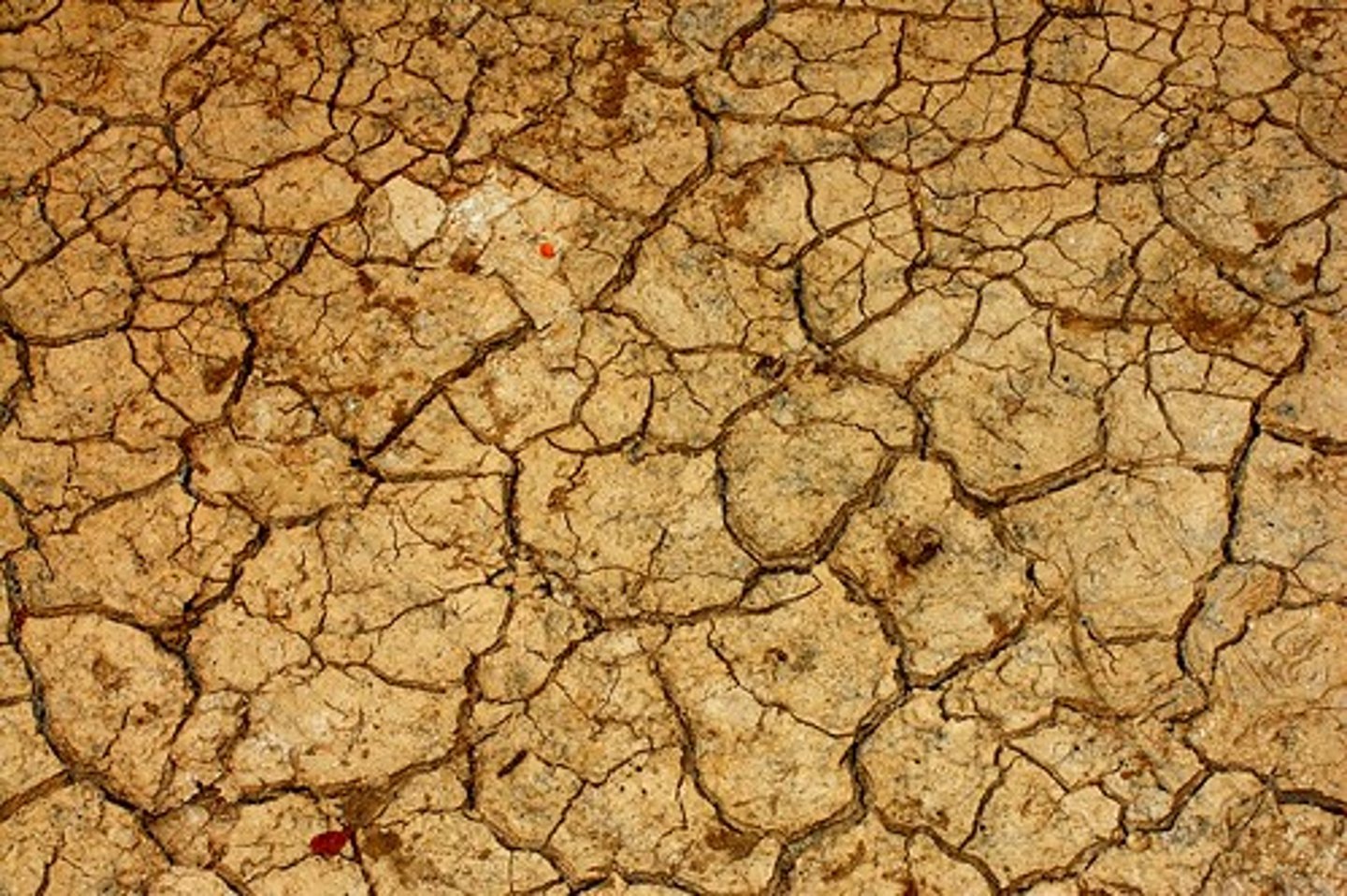 <p>dry</p>