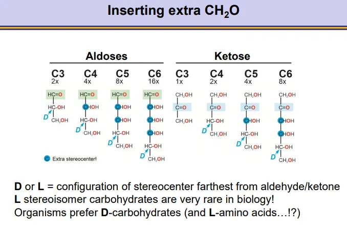 <ul><li><p>C3 (triose) aldoses have one stereocentre, and gain one more with each added CHOH</p></li><li><p>the same goes for ketoses from C4 (tetrose) onwards</p></li><li><p>the D or L enantiomer is defined by the stereocentre furthest away from the carbonyl group because this will have the secondary hydroxyl group that is used in cyclization</p></li><li><p>only D enantiomers are used in nature</p></li></ul><p></p>