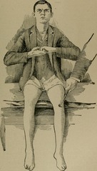 <p>simple, automatic responses to sensory stimuli, such as the knee-jerk response</p>