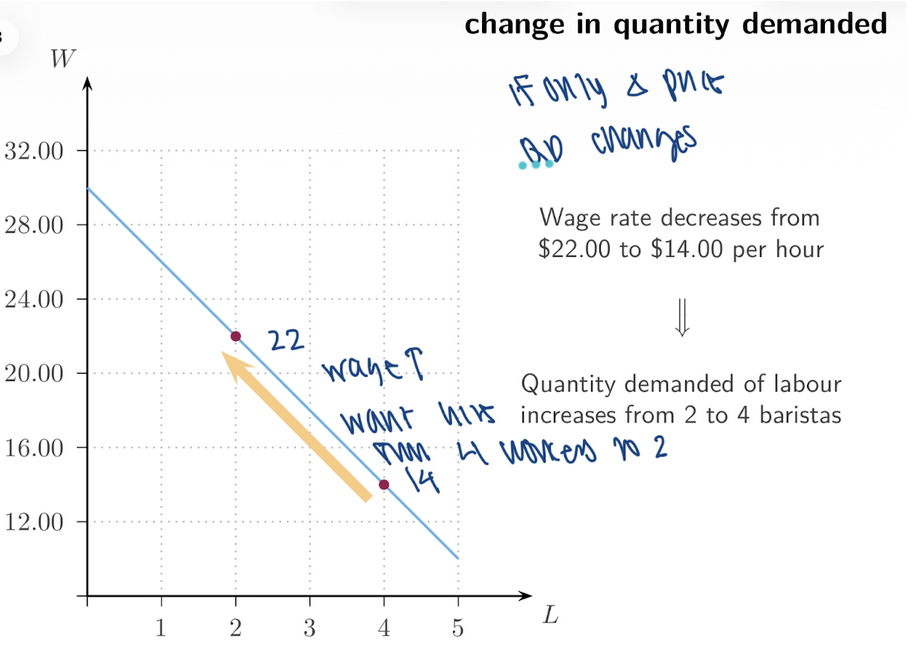 <p><span style="background-color: transparent; font-family: "Times New Roman", serif;"><strong><span>9. Change in Quantity Demanded</span></strong></span></p><ul><li><p><span style="background-color: transparent; font-family: "Times New Roman", serif;"><span>____ falls from $22 → $14/hour</span></span></p></li><li><p><span style="background-color: transparent; font-family: "Times New Roman", serif;"><span>Quantity demanded increases from 2 → 4 baristas</span></span></p></li></ul><p><span style="background-color: transparent; font-family: "Times New Roman", serif;"><strong><span>__ along the demand curve</span></strong></span></p>