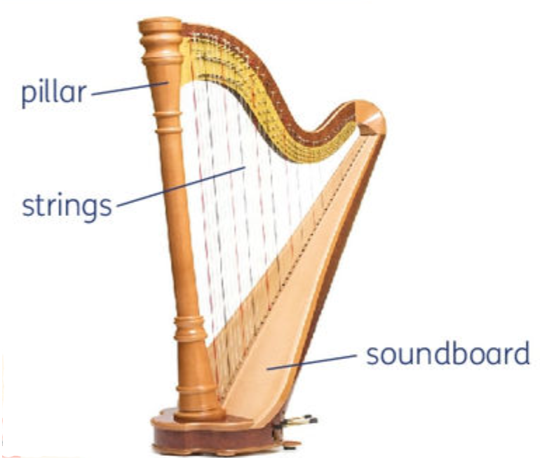 <p>The fifth member of the orchestral string family that comes in many sizes. Concert harps generally have 47 strings</p>