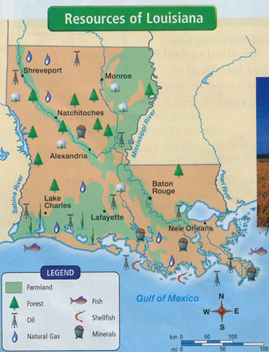 <p>features the types of natural resources or economic activity that dominates an area</p>