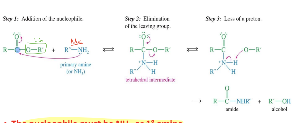 <p>Starting</p><ul><li><p>ester ( R - CO - OR)</p></li></ul><p>Reagent :</p><ul><li><p>NH<sub>3</sub> Or <strong>1° </strong>Amine (R - NH<sub>2</sub>)</p></li></ul><p><strong>MUST BE AMONIA OR 1° AMINE</strong></p><p>Mechanism</p><ol><li><p>the amine attacks the carbon of the ester</p></li><li><p>a tetrahedral intermediate is formed</p></li><li><p>the OR acts asa leaving group and breaks the bond with carbon</p></li><li><p>The same OR takes a hydrogen from the Nitrogen in amine</p></li></ol><p>End Product</p><ul><li><p>Amide</p></li><li><p>Alcohol</p></li></ul><p></p>