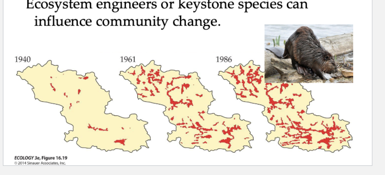<p>How can disease initiate community changes</p>