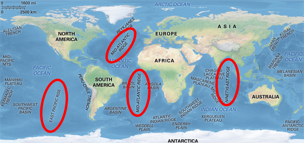 * Continuous submarine mountain chain extending through the world’s oceans.
* Rise from 5km to 2.6km and are roughly symmetrical in cross section. Thousands of km’s wide
  * associated with youngest crust

\
