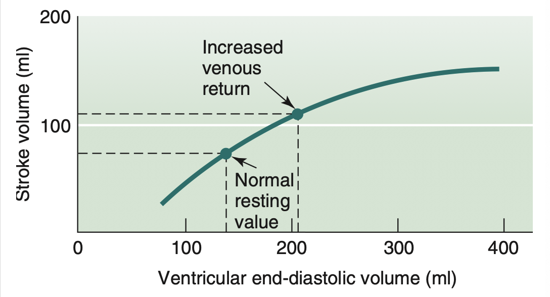 <p><span style="font-family: "Wingdings 2";"><span>¤</span></span><span style="font-family: "Century Gothic";"><strong><span>Preload:</span></strong><span> degree of stretch of cardiac muscle cells before they contract (Frank-Starling law of the heart)</span></span></p><p></p><p><span style="font-family: "Wingdings 2";"><span>¤</span></span><span style="font-family: "Century Gothic";"><span>Cardiac muscle exhibits a length-tension relationship</span></span></p><p><span style="font-family: "Wingdings 2";"><span>¤</span></span><span style="font-family: "Century Gothic";"><span>At rest, cardiac muscle cells are shorter than optimal length</span></span></p><p><span style="font-family: "Wingdings 2";"><span>¤</span></span><span style="font-family: "Century Gothic";"><span>Slow heartbeat and exercise increase venous return</span></span></p>