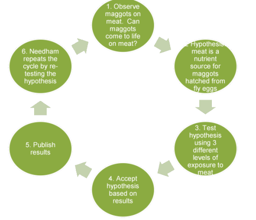 <p>1. Observation leads to question</p><p> 2. Question generates hypothesis </p><p>3. Hypothesis tested through experiment </p><p>4. Accept, reject, or modify hypothesis based on results </p><p>5. Publish results </p><p>6.repeat </p><p></p>