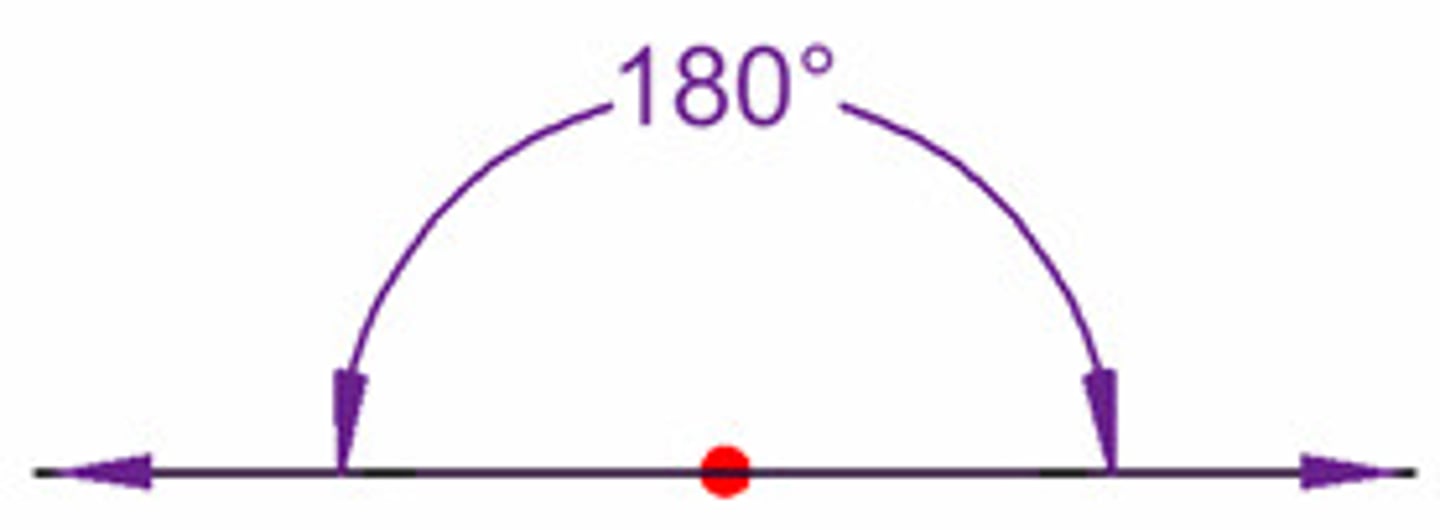<p>an angle that measures 180 degrees</p>