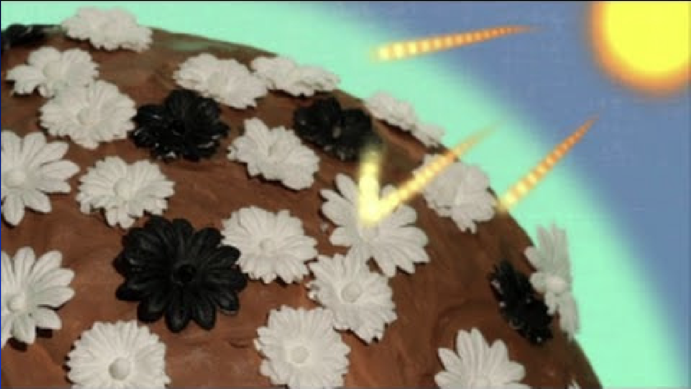 <p>D<span style="background-color: transparent;">aisies represent the materials on the surface of earth (oceans, lands, clouds) where white daisies reflect light and black daisies absorb heat</span></p><p><span style="background-color: transparent;">The Earth can only survive because the Sun exists.</span></p>