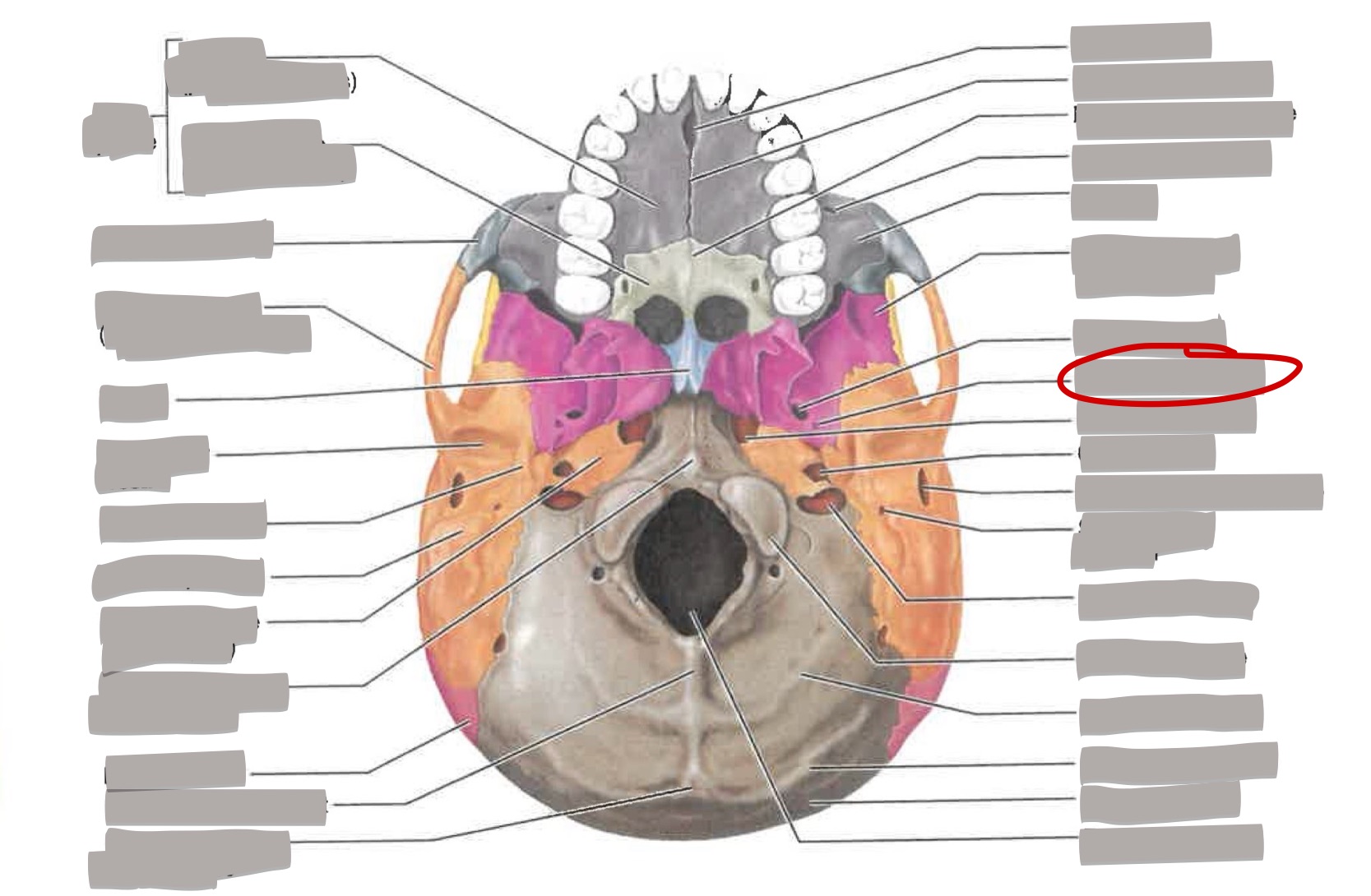 term image