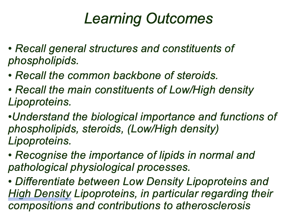 lipiiiiids lipiiiiids