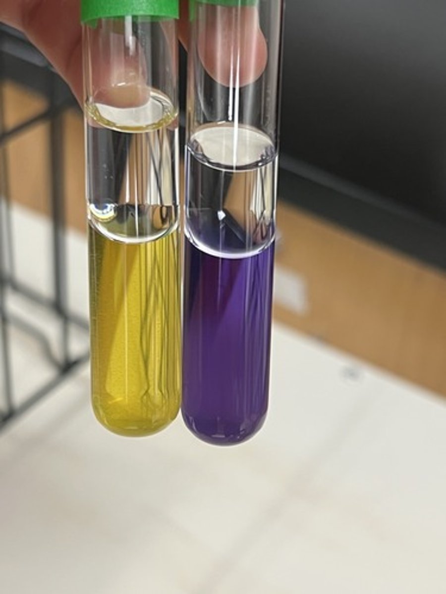 <p><strong>Differentiates </strong>sp. based on their ability to make the Lysine Decarboxylase enzyme.</p><p>Production of enzyme (+): Purple broth</p><p>No enzyme production (-) test: Yellow broth</p>