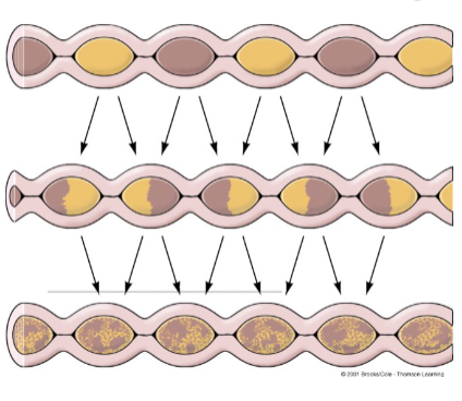 <p>happens mainly in the stomach + small intestine and serves 3 purposes</p><ul><li><p><span style="color: rgb(255, 255, 255);"><span>aid digestion by mixing food with digestive juices</span></span></p></li><li><p><span style="color: rgb(255, 255, 255);"><span>facilitate absorption by exposing food to absorbing surfaces</span></span></p></li><li><p><span style="color: rgb(255, 255, 255);"><span>forward movement (slow and non-linear)</span></span></p></li></ul><p></p>