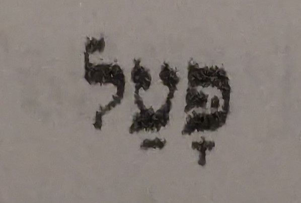 term image