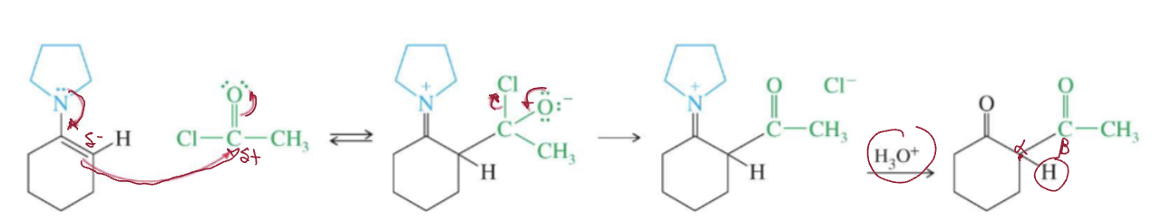 <p>forms beta-diketone</p>