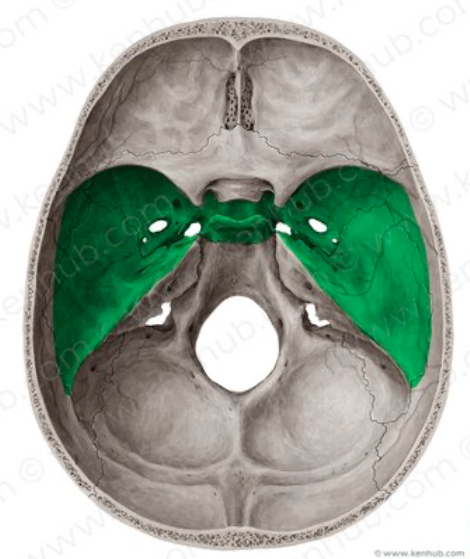 <p>-limita <strong>anteriormente</strong> con el limite posterior de la fosa anterior</p><p class="has-focus">-limita <strong>posteriormente </strong>con el borde superior de la lamina cuadrilatera del esfenoides y con el borde superior de la roca del temporal de cada lado</p>