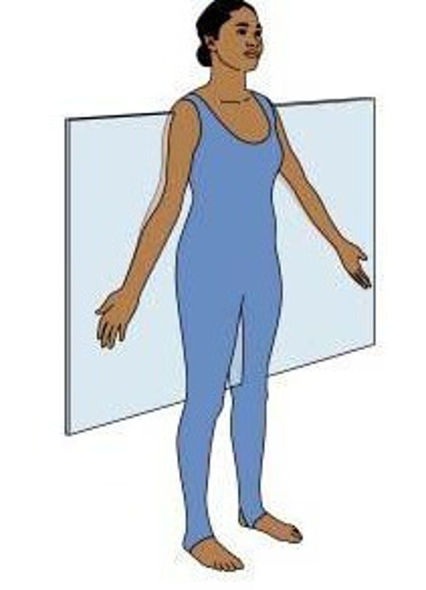 <p>extends vertically, but is perpendicular to the sagittal plane and divides the body into anterior (front) and posterior (back) portions</p>