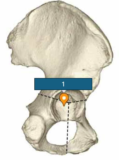 <p>1</p>