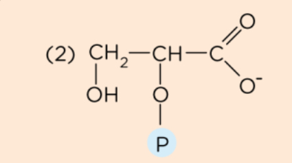 <p>What structure is this?</p>