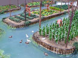 <p>Chinampas </p>