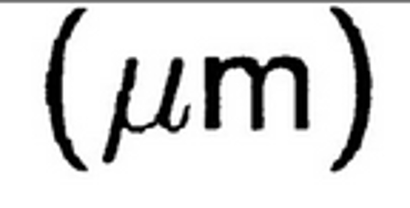 <p>There are 1 000 micrometres in a millimetre and 1 000 000 micrometres in a metre</p>