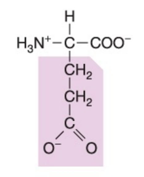 <p>Polar (negatively charged), hydrophilic</p>