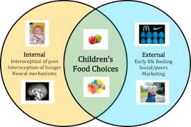 <p>Influences such as social settings, environmental cues, and cultural norms that affect food choices and eating behaviors. </p>