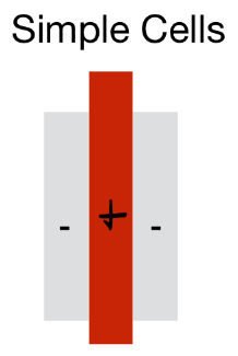 <p>Center-surround configuration</p><p>Non-circular, ON/OFF stimulus, Orientation matters</p>