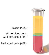 <ul><li><p>RBCs (45%)</p></li><li><p>WBCs + Platelets (&lt;1%) </p></li><li><p>Plasma (55%)</p></li></ul><p></p>