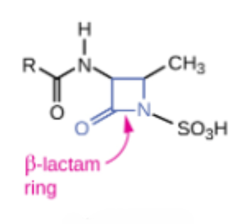 <p>Semisynthetic ______</p><ul><li><p>Interact directly with PBPs and inhibit transpeptidase activity</p></li><li><p>Inhibit the synthesis of bacterial cell walls by binding to penicillin-binding proteins.</p></li></ul><p></p>