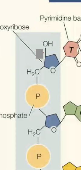 <p>what end is grey box</p>