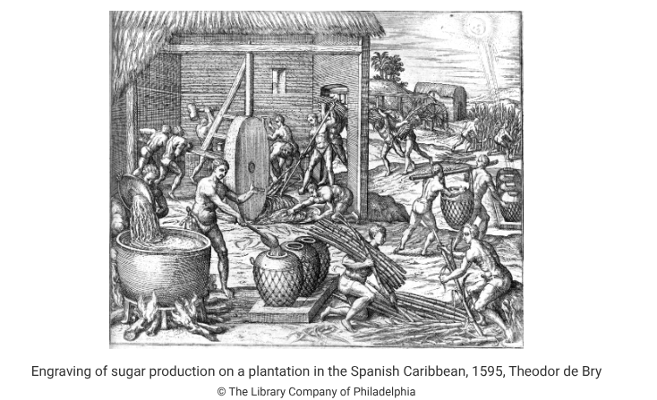 <p>Developments such as that depicted in the image most directly led to which of the following?</p><p>Responses</p><p><strong>A</strong></p><p class="choice_paragraph">The importation of enslaved Africans to the Caribbean</p><p><strong>B</strong></p><p class="choice_paragraph">The increasing use of indentured servants in the Caribbean</p><p><strong>C</strong></p><p class="choice_paragraph">The spread of Spanish missionaries into portions of Florida</p><p><strong>D</strong></p><p class="choice_paragraph">The settling of the eastern North American seaboard by the Spanish</p><p></p>