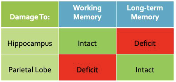 <p>______ __________ are strong forms of evidence used to distinguish two systems in cognitive psychology/neuroscience </p><ul><li><p>evidence from lesion studies </p></li></ul>