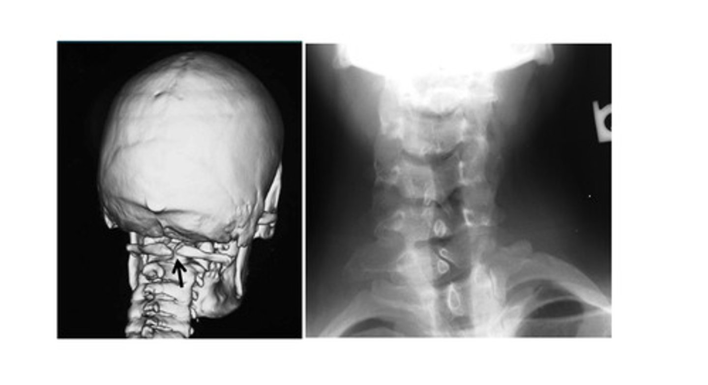 <p>What are we looking at here?</p>