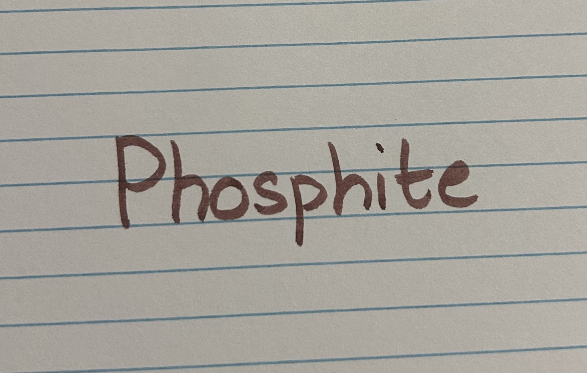 knowt flashcard image