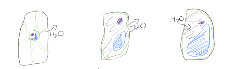 <p>Label the toxicities</p>