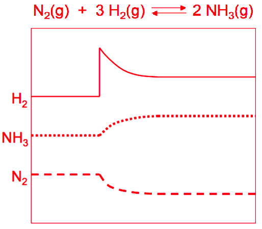 <p>Describe the change to this system and what type it is (out of temp, pressure, and []). What happens when we remove NH3? Why does N2 go down? When is H2 added, and when does it begin to reach equilibrium again?</p>