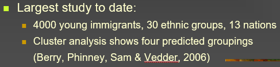 <ul><li><p><span>Preferences for contact</span></p></li><li><p><span>Preferences for cultural maintenance</span></p></li><li><p><span>Cultural identities</span></p></li><li><p><span>Language use and proficiency</span></p></li><li><p><span>Cultural practices (food, clothing, media, etc.)</span></p></li><li><p><span>Family and peer relationships</span></p></li></ul>