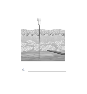 <p>4</p>