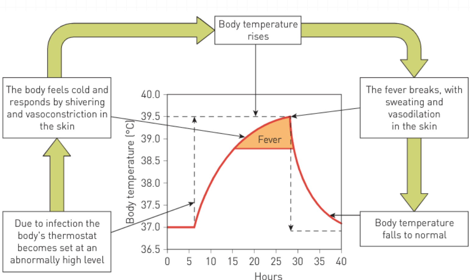 <p>Fever Response</p>