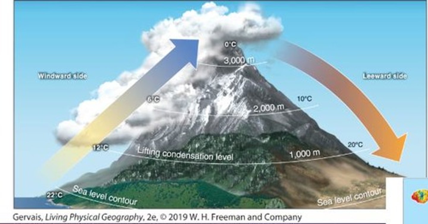 <p>Leeward side of mountains with sinking air, creating a desert</p>