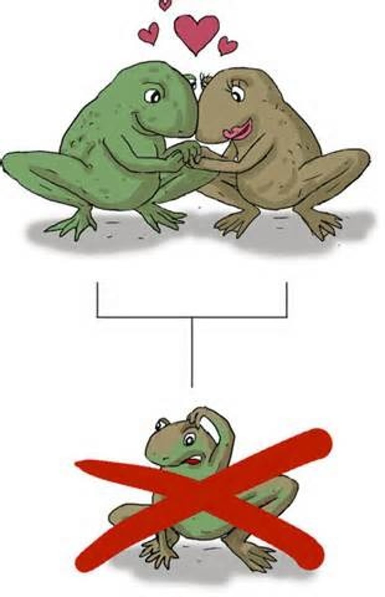 <p>A reproductive isolating mechanism where hybrids fail to develop into healthy, mature adults, either in utero or after birth.</p>