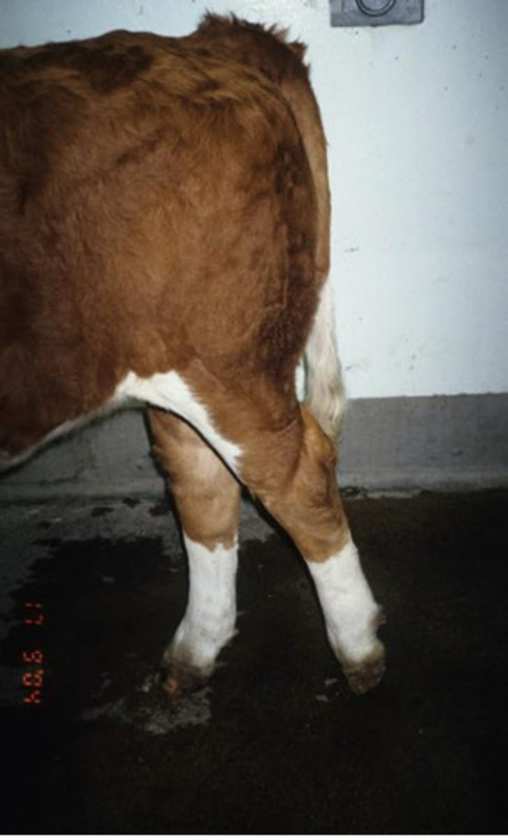 <p>What is this?</p>