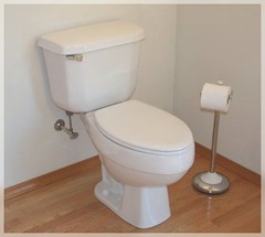 <p>toilet</p>
