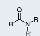 <p>carbonyl attached to a nitrogen and 2 R groups</p>
