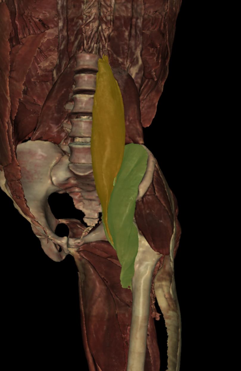 <p>Identify the Structure</p>