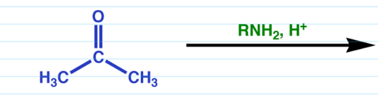 <p>Imines</p>